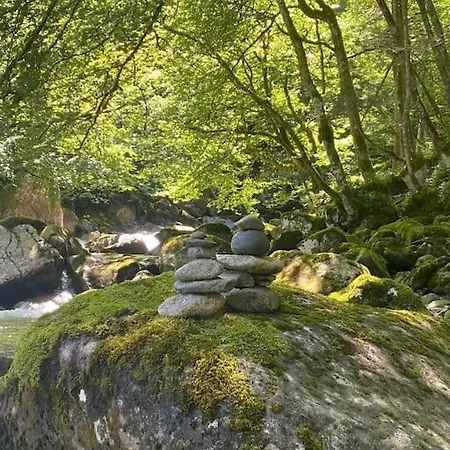 Maison De Bourg En Pierre *